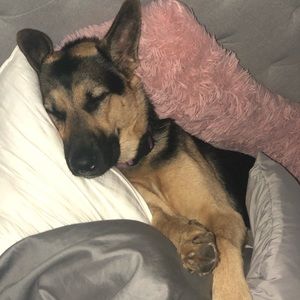 Meet your Posher, Jordan